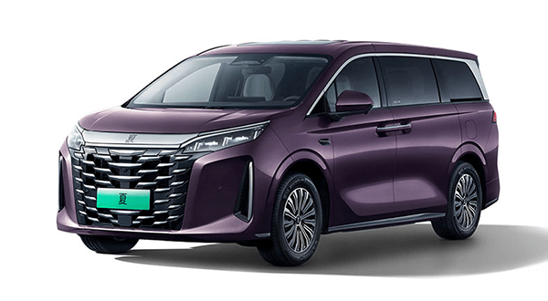 byd-m9-mau-tim