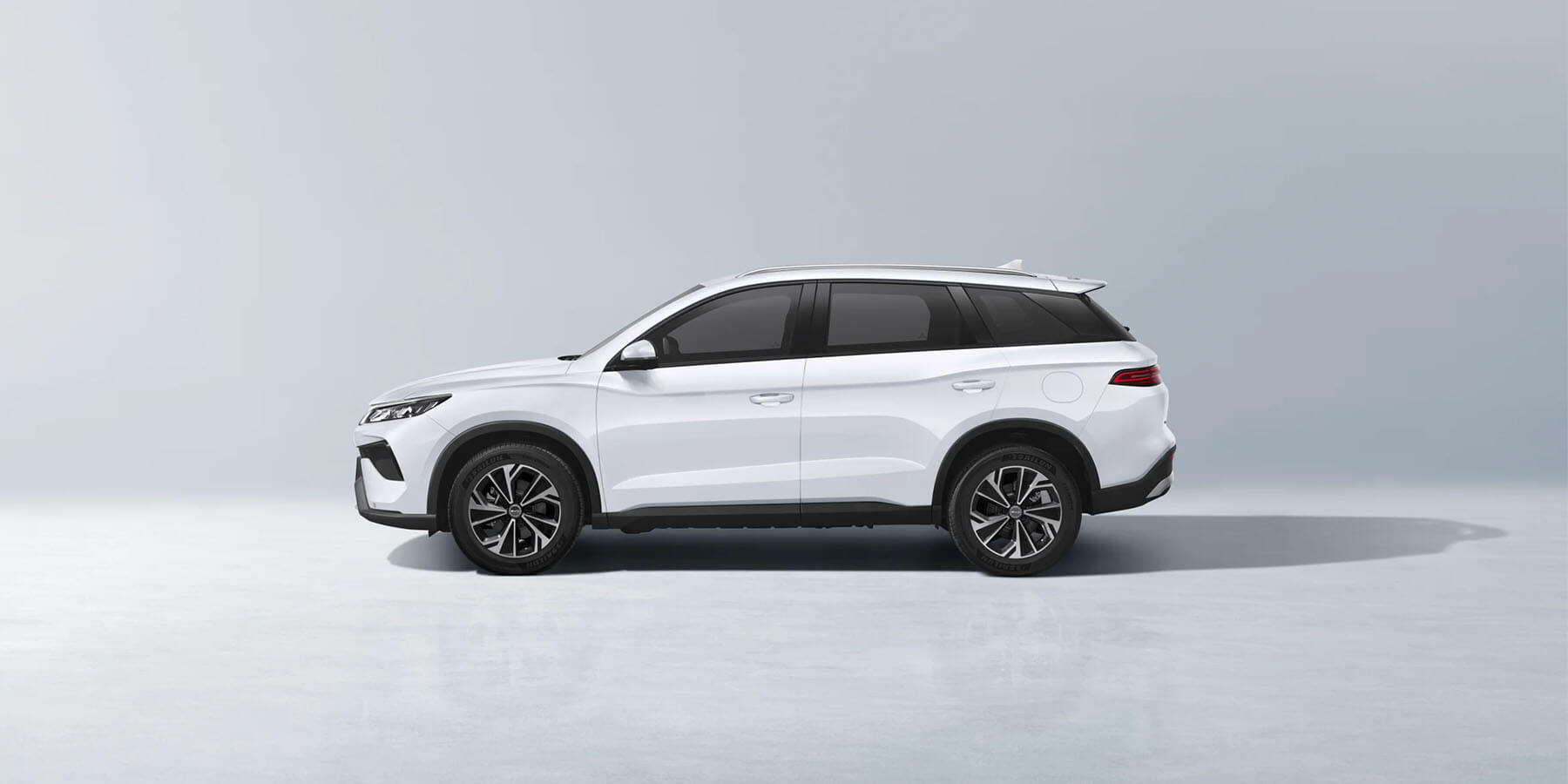 mau-xe-byd-sealion-5